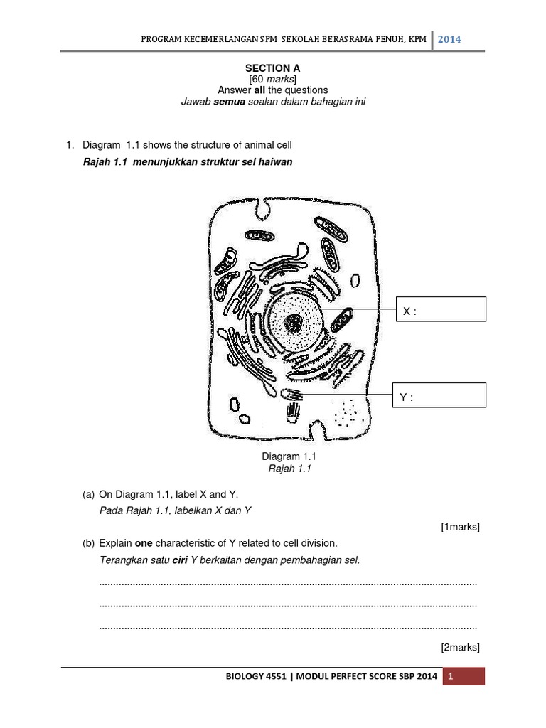 Biology SPM Trial papers - SPM - Free SPM Tips 2019 by 