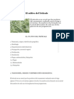 Cultivo Del Triticale PDF