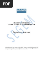 Segem Cikmis Sorular Pdf