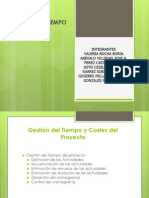 Gestion Del Tiempo Del Proyecto