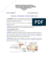 GUIA 2 Osteologia