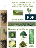 D PP MIP manejo de ddm en cruciferas.pdf