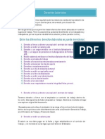 Derechos Laborales PDF