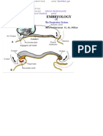 MiniLecture EMBRYOLOGY (Respi ML) 16sept'06 (DR - Soeherman)