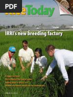 Download Rice Today Vol 13 No 4 by Rice Today SN243018253 doc pdf