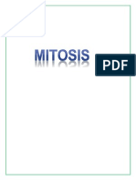 mitosis.docx