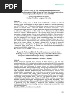 Download 230-435-1-SMpdf by Elizabeth Noel SN243021720 doc pdf