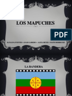 LOS MAPUCHES.ppt