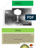 Virus PPSX