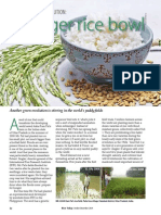 Rice Today Vol. 13, No. 4 The new green revolution