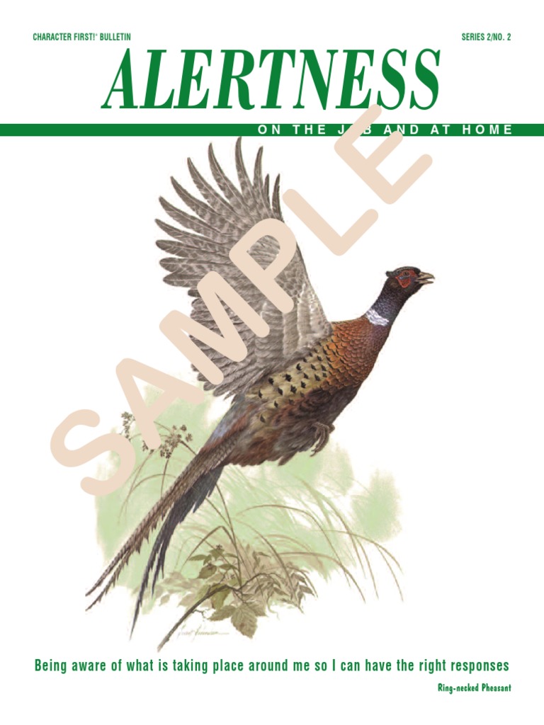 M PL E: Alertness | PDF | Feather | Brain