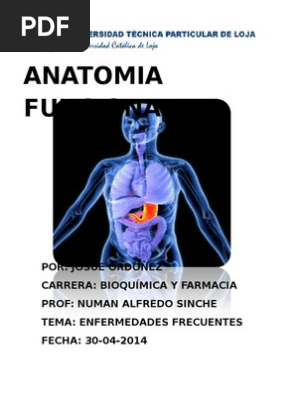 Anatomia De Una Enfermedad Pdf