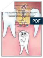 Dentición Decidua y Permanente