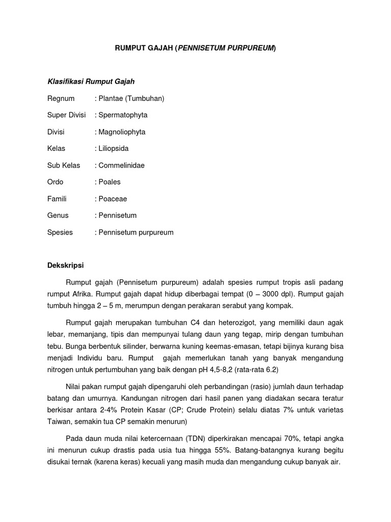 Klasifikasi dan Karakteristik Rumput Gajah | PDF | Griya & Taman ...