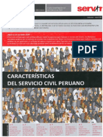 Caracteristicas Servicio Civil Peruano PDF