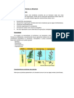 Apostila Biologia reino plantae.pdf