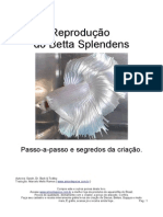 Reproducao Bettas PDF