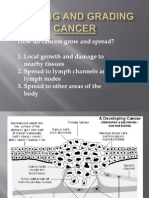 Staging and Grading Cancer