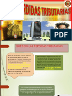 PERDIDAS TRIBUTARIAS  GESTION TRIBUTARIA II.pptx