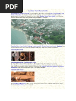 Download Zanzibar Stone Town Hotel Resort Lodges Island Accommodation Guide by David SN2430921 doc pdf