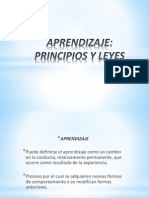 Aprendizaje Principios y Leyes PDF