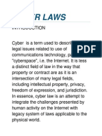 Cyber Laws 