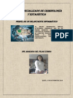 Perfil de Un Delincuente Informatico PDF