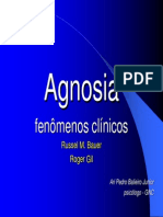 Agnosia Ari Balieiro 2008no PDF