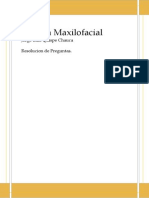 maxilo.pdf