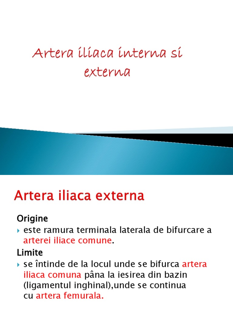 Artera Iliaca Interna Si Externa | PDF