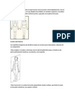 Posición anatómica.docx