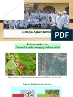 Ecologia_Agroindustrial_IMPACTOS_DE_LA_COCA.pptx