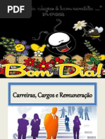 Carreiras, cargos e remuneraç3.pdf
