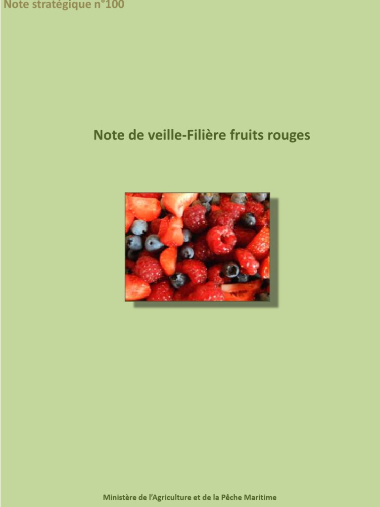 Filière des Fruits Rouges au Maroc | PDF | Maroc | Agriculture