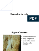 Deteccion de Celo (NLBC)