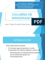 COLUMNA DE WINODRASKY.pptx