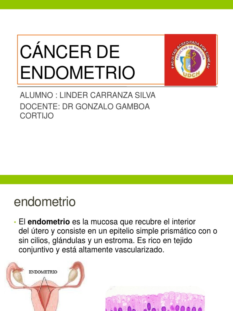 Cáncer de Endometrio: Epidemiología y Riesgos | PDF | Ciclo menstrual ...