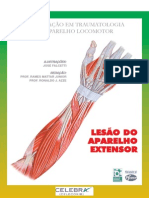 Traumas da mão.pdf