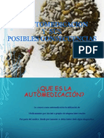 Presentacion de Automedicacion