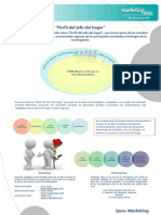 Perfil Jefe de Hogar 2013 PDF