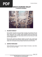 Download burung_walet by unik_punggawa1699 SN24315854 doc pdf