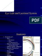 Eye Lid Anatomy and Lacrimal System Guide