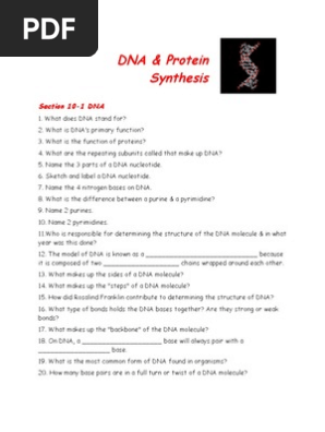 Dna Worksheet Dna Translation Biology