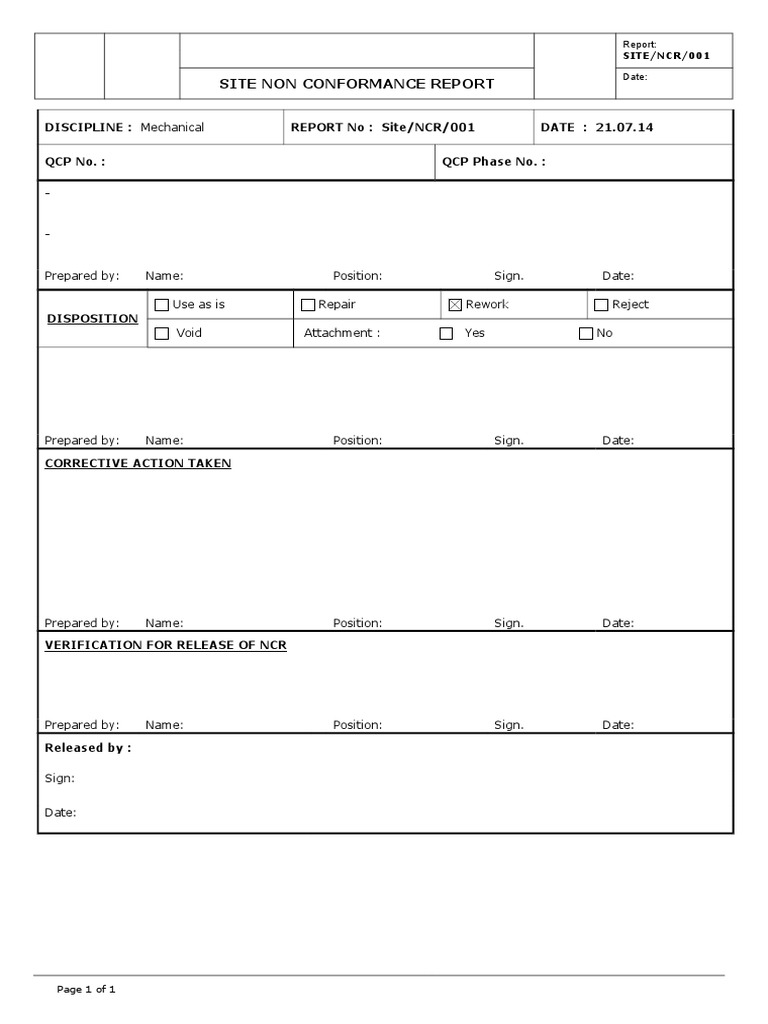 NCR Format | PDF