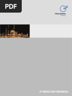 Download Company Profile MEPI 2010 by Mira SN243171194 doc pdf