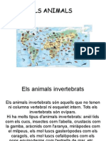 Presentació Animals