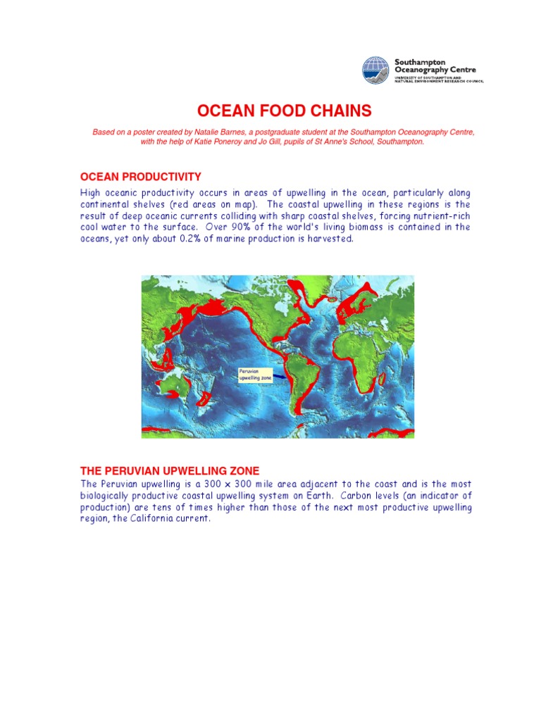 Phytoplankton Biology Diagrams