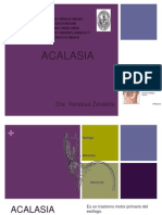 Seminario Acalasia