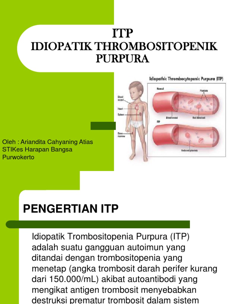 Pengertian dan Penanganan ITP | PDF