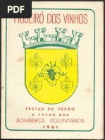 Figueiró dos Vinhos 